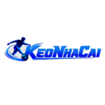 logo-11