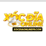 logo-3